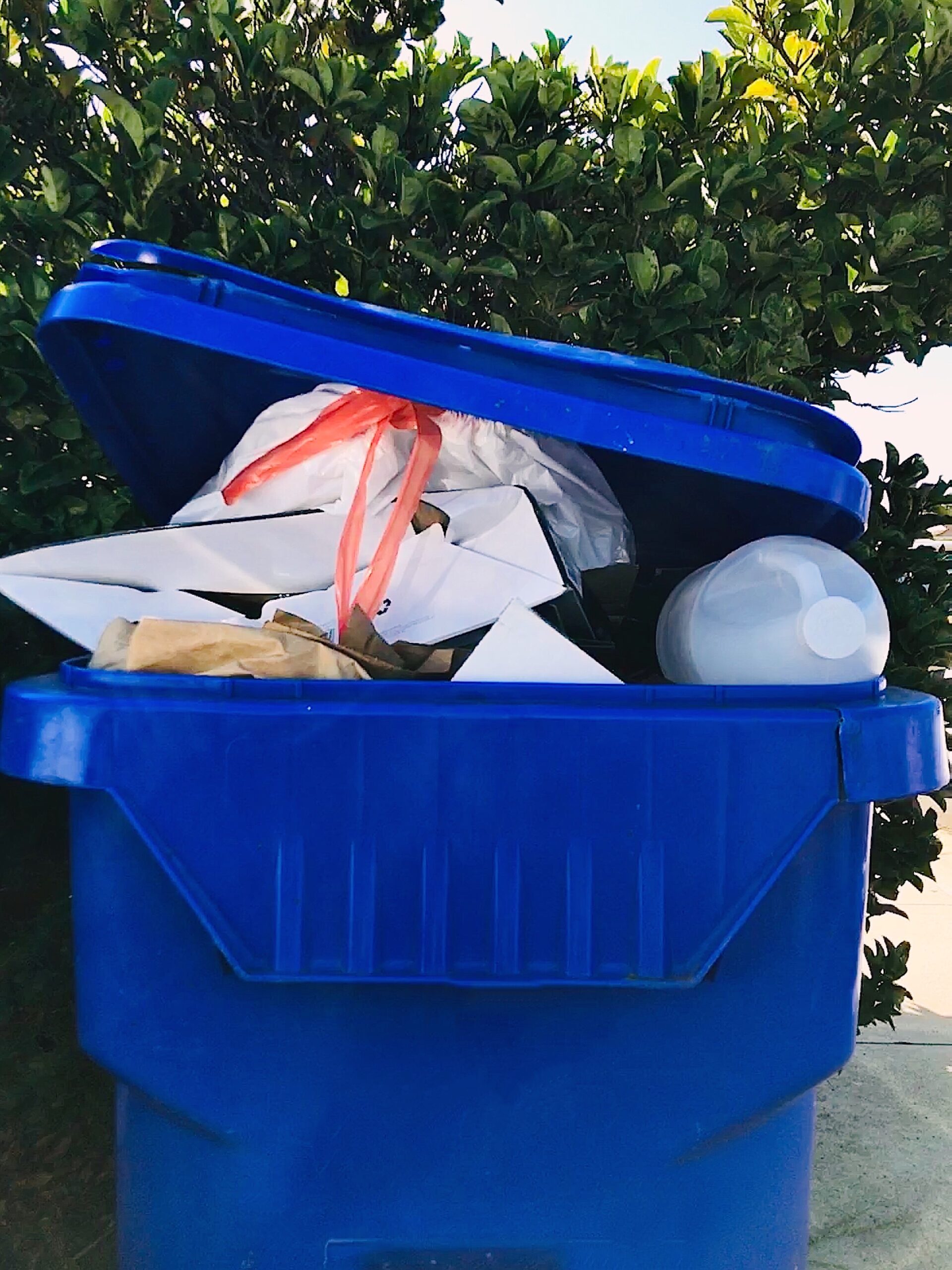 recycling-bin-at-a-home-residence-in-a-neighborhoo-2025-03-08-09-57-29-utc